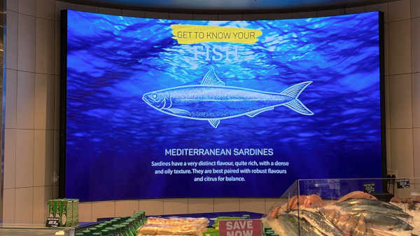 Indoor Led Screens